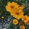 hannahe0111 hannahe0111